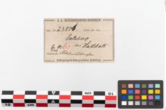 Etiketten zu Bronzetierkopffibel (NHMW-PRAE-023851)